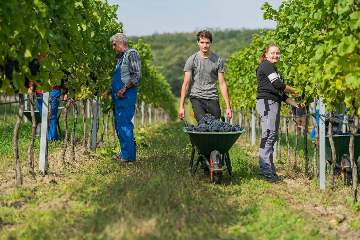 ausbildung04.jpg