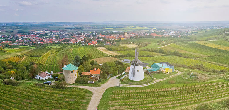 weingut-retz-780x375-2.jpg